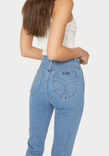 Load image into Gallery viewer, DUSTERS