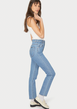 Load image into Gallery viewer, DUSTERS